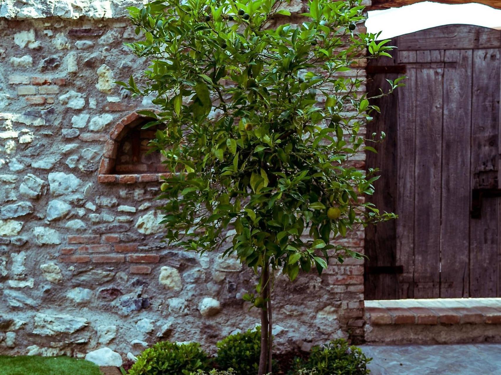 Villa Fontanelle Gardapartments بولبينازي ديل جاردا المظهر الخارجي الصورة